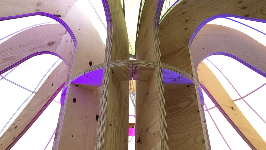 Interior view of the ceiling in the People's Pavilion