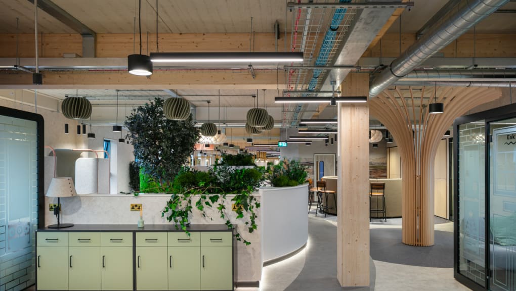 The office area. Copyright: Citu, 2026.
