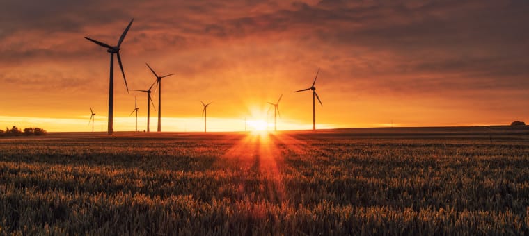 Climate emergency conference 2025