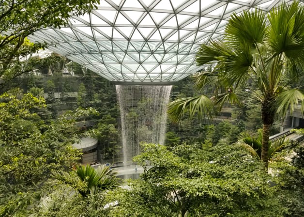 Interior view of waterfall and trees inside the Jewel Changi Airport
