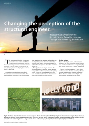 Kenneth Severn Award winning essay: Changing the perception of the structural engineer