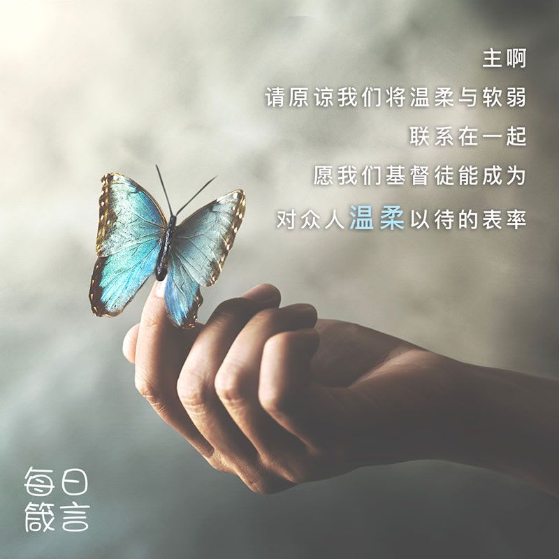 【双语灵修】温柔 Gentleness