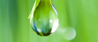JGL publishes its 2010 Sustainable Development Report