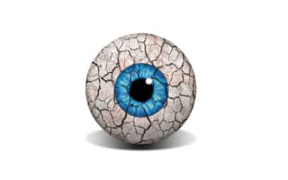 New online version of VIZOL S
