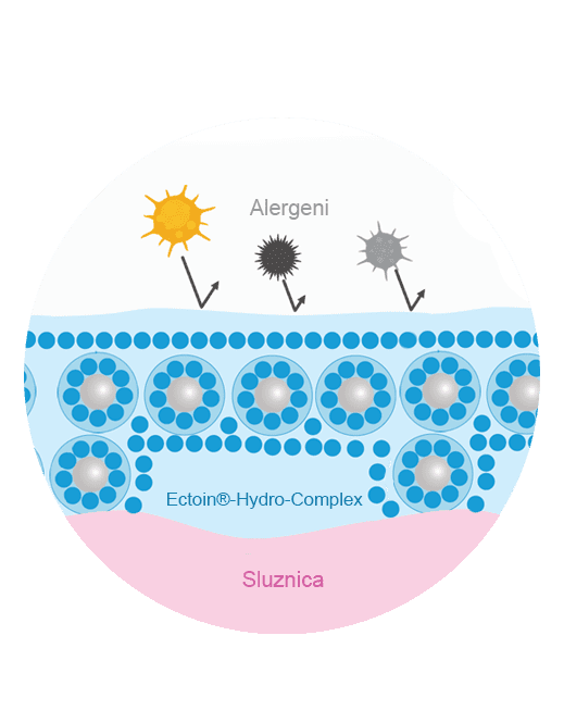 Djelovanje ektoina - stvara se prirodna barijera na sluznici nosa ili oka koja sprječava kontakt čestica peludi