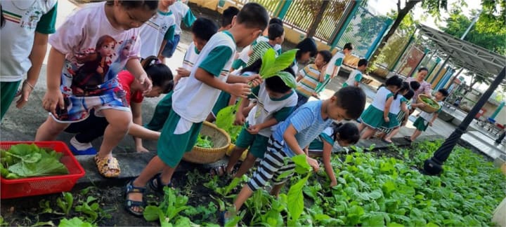 DANH SÁCH CÁC TRƯỜNG MẦM NON CÔNG LẬP QUẬN 9, TP.HCM