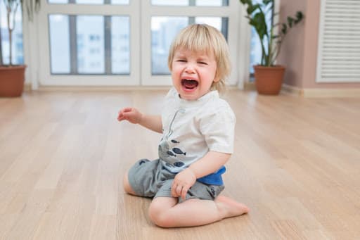 MÁCH PHỤ HUYNH TUYỆT CHIÊU TRỊ THÓI ĂN VẠ CỦA TRẺ