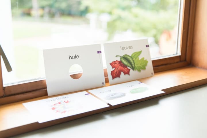 TRẺ MẦM NON THẨM THẤU TIẾNG ANH QUA CHƯƠNG TRÌNH GRAPESEED NHƯ THẾ NÀO?