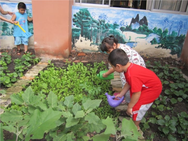 DANH SÁCH CÁC TRƯỜNG MẦM NON CÔNG LẬP Ở QUẬN 2, TP.HCM