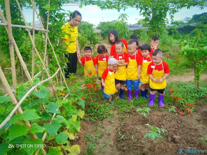 DANH SÁCH CÁC TRƯỜNG MẦM NON NHẬN TRẺ TỪ 6 THÁNG TUỔI QUẬN HOÀNG MAI