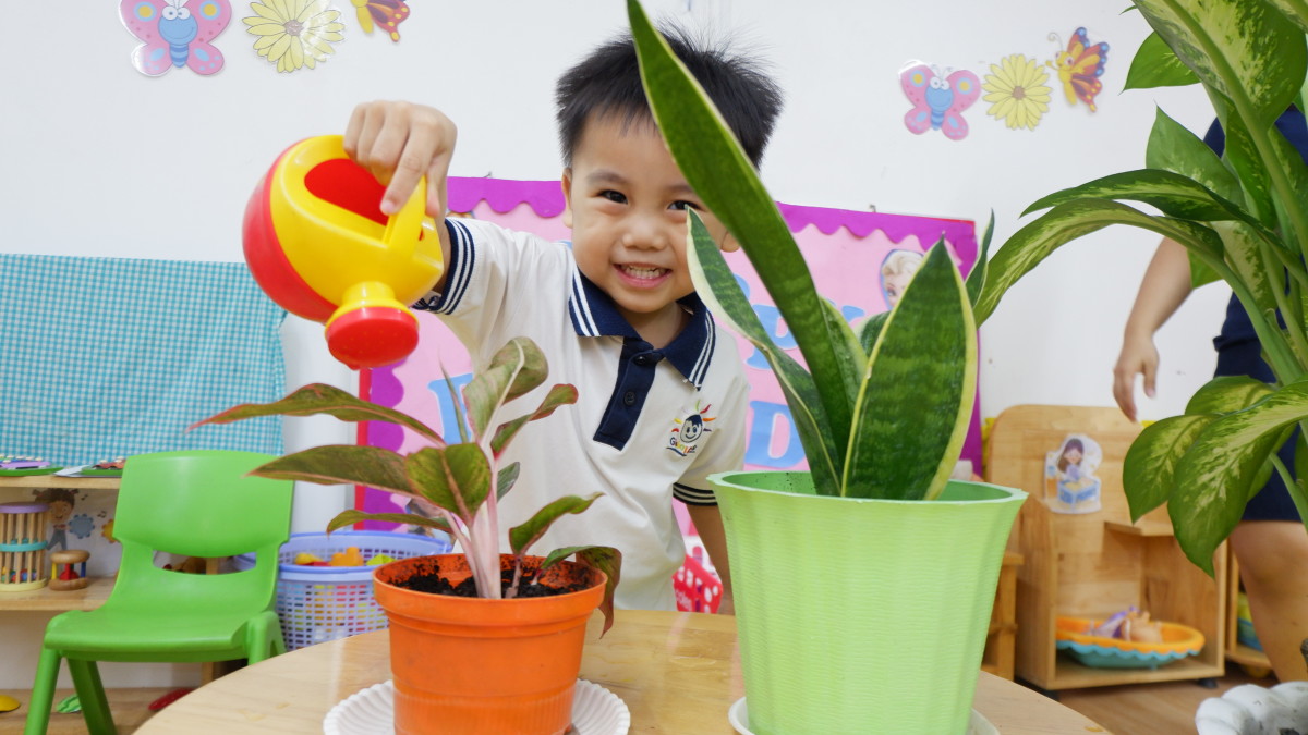 Góc Thực Hành Cuộc Sống: Bé Tự Tay Tưới Mát Cây Xanh - Kỹ Năng Sống