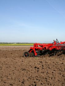 Seedbed Cultivators - Kverneland TLG optimized for root vegetables