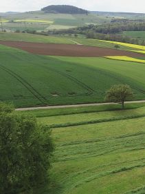 Four Rotor Rakes - VICON ANDEX 1304 PRO, super efficient in use during field operation with ISOBUS option