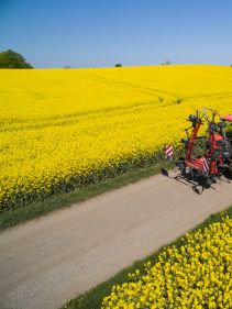 mounted tedders - VICON FANEX 554-684-764-904-1124, Central adjustment for border spreading keeping the crop inside the field.