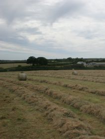 Fixed Chamber round balers - VICON FIXBALE 500, specialist baler for heavy silage conditions with low power requirments for efficient operation