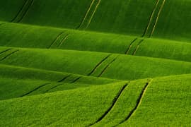 Background Images - Online