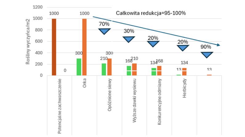 Black Grass graph