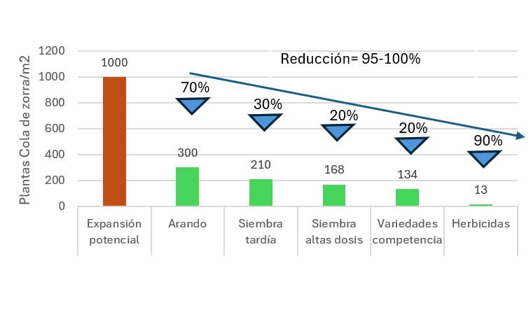 Black Grass graph