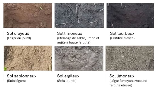 Co2 Soil Storage capacity