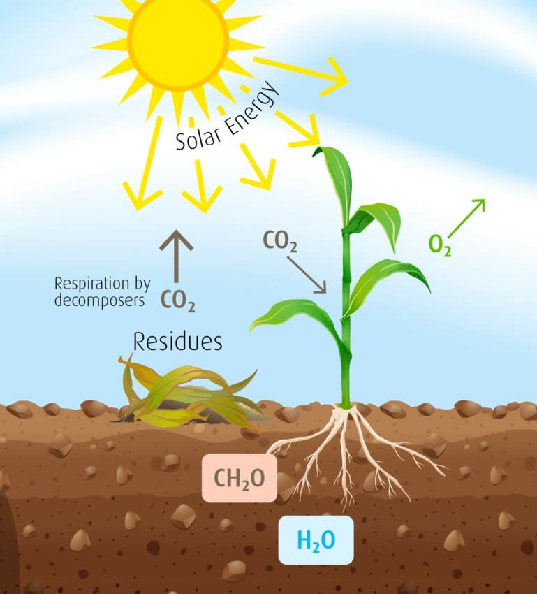 CO2 emissions and Ploughing - plant image