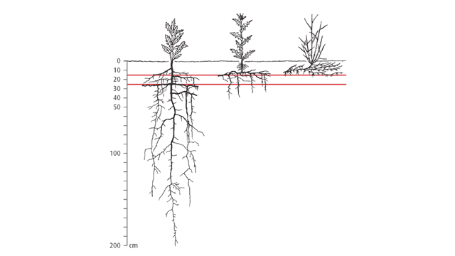 Why Ploughing? Part 1/3