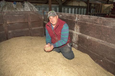Mowing the seeds of success