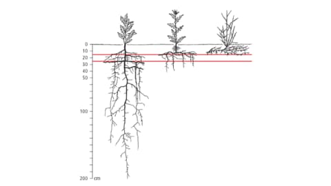 Why Ploughing? Part 1/3