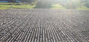 World Ploughing Championship 2013, Canada