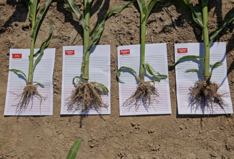 Field Trials all over Europe