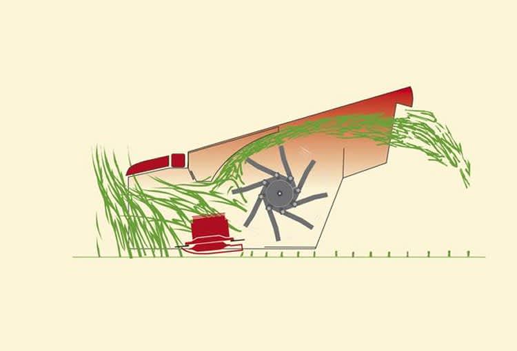 Vicon - SemiSwing Aufbereitung