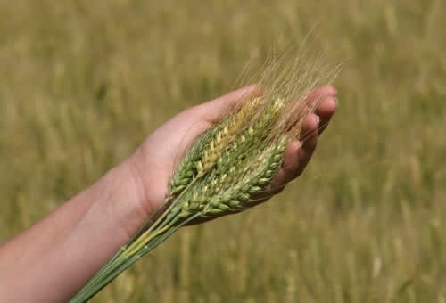 Kverneland - iXclean: ogni litro è importante