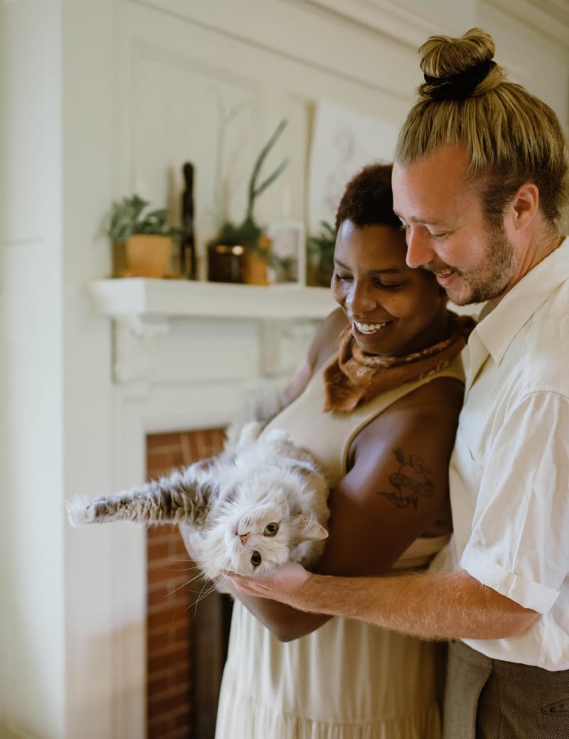 Best Gifts For Cat Lovers In Your Family