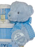 Blue Bear Plush Baby Toy
