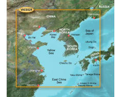 G3 Vision Regular - Vae002r - Yellow Sea