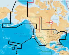 Gold XL9 SD/Micro SD Format 1X USA