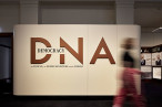 Entry to dna
