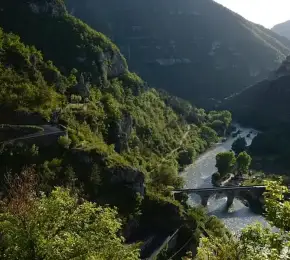Pharmacie à vendre dans le département Tarn sur Ouipharma.fr