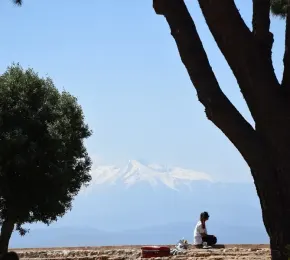 Pharmacie à vendre dans le département Pyrénées-Orientales sur Ouipharma.fr