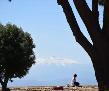 Image pharmacie dans le département Pyrénées-Orientales sur Ouipharma.fr