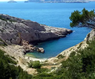 Image pharmacie dans le département Bouches-du-Rhône sur Ouipharma.fr