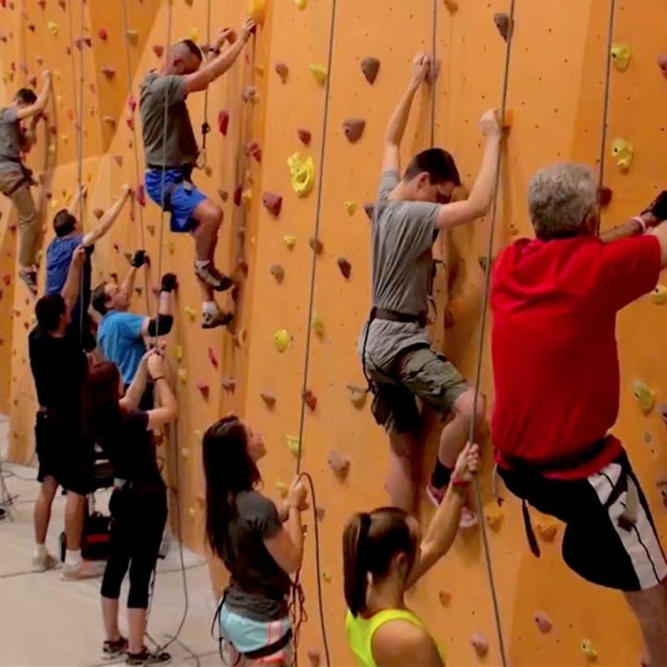 Rock Climb and Learn About Adaptive Climbing Programs