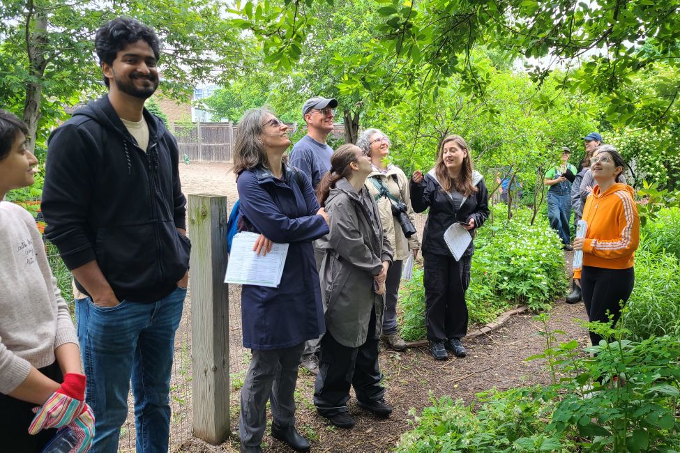 Become a Citizen Scientist and Monitor Environmental Changes