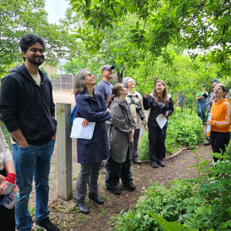 Become a Citizen Scientist and Monitor Environmental Changes