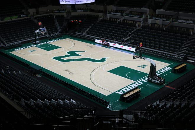 USF Bulls Basketball South Florida