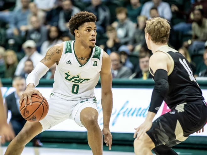 USF Bulls South Florida