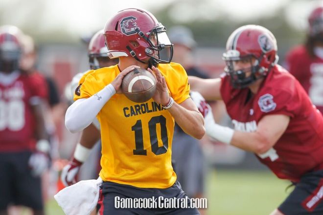 Perry Orth was one of two quarterbacks to impress Will Muschamp in the spring