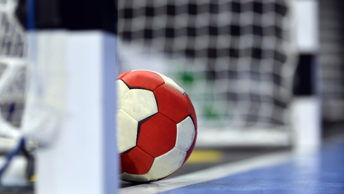 Sveriges Trupp till Handbolls-EM 2024