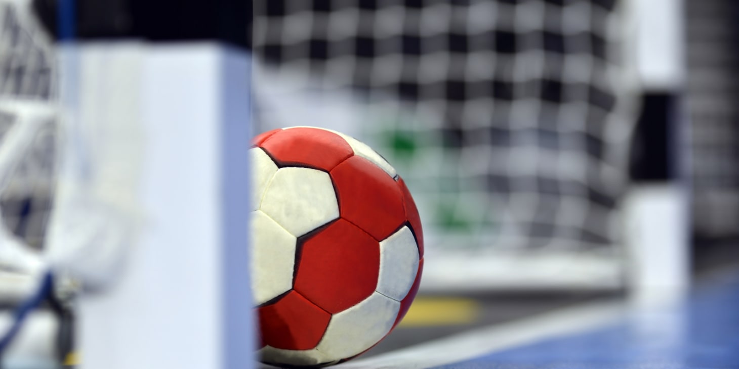 Sveriges Trupp till Handbolls-EM 2024