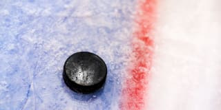 NHL Team Guide: Anaheim Ducks