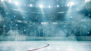 NHL Team Guide: San Jose Sharks